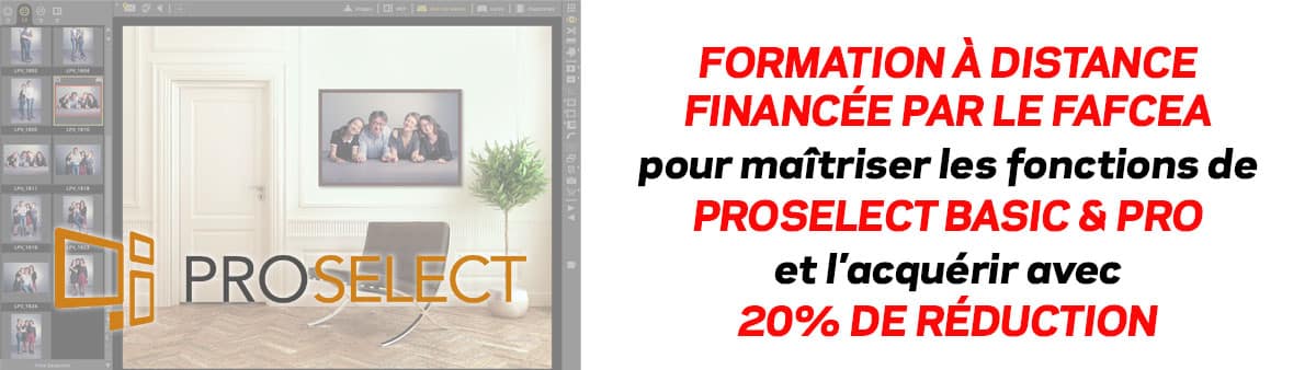 Formation en présentiel ProSelect Basic + Pro avec un expert francophone
