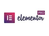 bt_elementor-pro.jpg